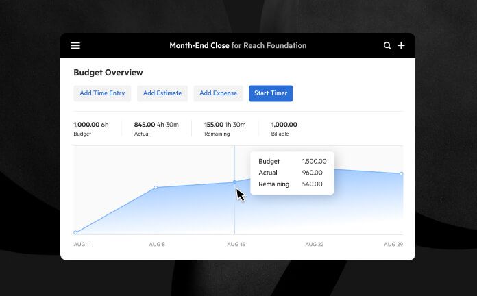 A budget overview graph.